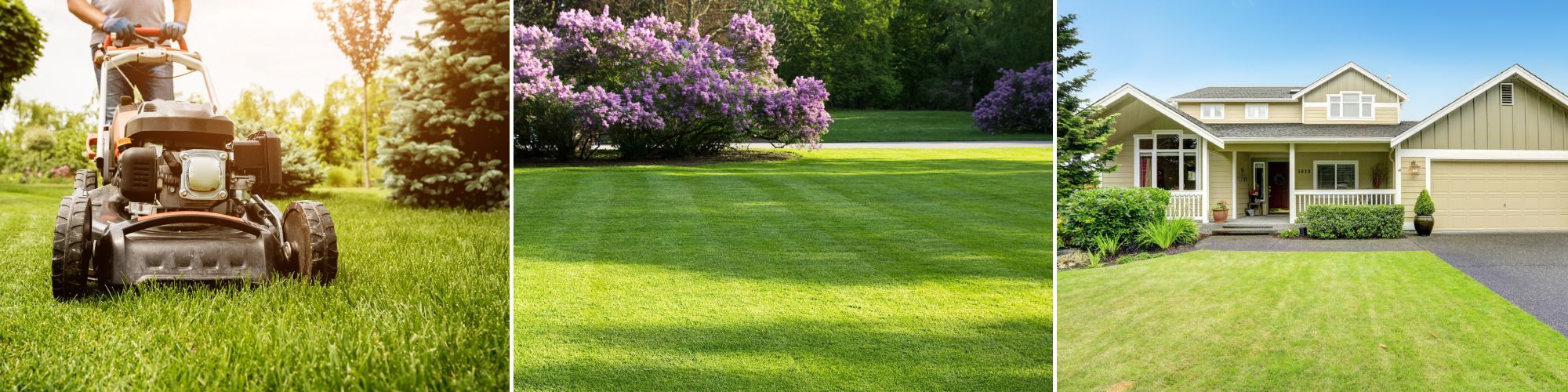 Lawn mowing online papakura